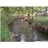 00 000 Curvier, Poteet, TX - MLS 795641