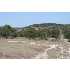 1000 Maenius, Blanco, TX - MLS 798998