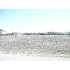 0000 Alton Blvd, Selma, TX - MLS 766959