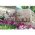LOT 85 Cr 2811, Mico, TX - MLS 748620