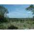 14632 Iron Horse Way, Helotes, TX - MLS 737154