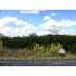 LOT 82 Cr 273, Mico, TX - MLS 749031