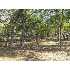 161 La Luna, Blanco, TX - MLS 749193