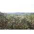 170100 N State Hwy, Helotes, TX - MLS 758045