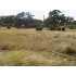 754 N Lon Price, Blanco, TX - MLS 749618