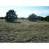 LOT 12 N Capri Ln, Selma, TX - MLS 749757