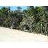 LOT 17 BLK 25 Ventura Blvd, Selma, TX - MLS 645856