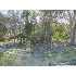 LOT 8 BLK 26 Ventura Blvd, Selma, TX - MLS 645876
