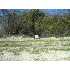 LOT 2 BLK 25 Ventura Blvd, Selma, TX - MLS 645843