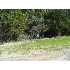 LOT 34 BLK 27 El Monte, Live Oak, TX - MLS 646013