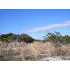 372 Cr 2757, Mico, TX - MLS 695743
