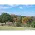 8903 Gothic, Universal Ci, TX - MLS 692957
