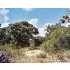 0000 Cr 2652, Mico, TX - MLS 703455