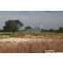 LOT 246 Jerry Gray, Blanco, TX - MLS 715881