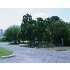 206 Shin Oak Dr, Live Oak, TX - MLS 751800