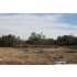 LOT 122 Stallion Estates, Blanco, TX - MLS 715888