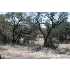 LOT 21 Cielo Springs Dr, Blanco, TX - MLS 716625