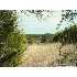LOT 15 Windsong, Boerne, TX - MLS 688451
