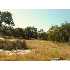LOT 33 Riverwood, Boerne, TX - MLS 687547