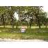 107 Cibolo Pass, Boerne, TX - MLS 655925