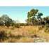 LOT 16 Arroyo, Boerne, TX - MLS 700575