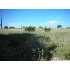 LOT 1026 Junius Peak, Blanco, TX - MLS 742934