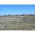 0 Vintage Run Drive, LA VERNIA, TX - MLS 763157