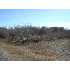 LOT 1248 Sanders, Seadrift, TX - MLS 766364