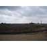 000 Lower Seguin Rd, , TX - MLS 765486