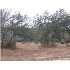 LOT 17 Anns Way, Blanco, TX - MLS 767717