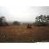LOT 192 S John Grey, Blanco, TX - MLS 771657