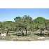 LOT 18 Thunder Creek, Boerne, TX - MLS 777246