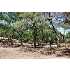 LOT 15 Thunder Canyon, Boerne, TX - MLS 777468