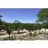 LOT 17 Thunder Canyon, Boerne, TX - MLS 777471