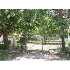 930 Texas Ave, San Antonio, TX - MLS 785908
