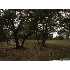LOT 16 Windsong, Boerne, TX - MLS 784356
