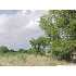 10.46 ACRES Scull Crossing, LA VERNIA, TX - MLS 790047