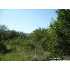 N/A Goad, Live Oak, TX - MLS 765093