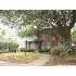 445 Club Dr, San Antonio, TX - MLS 798672