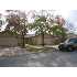 7226 Rimwood St, Live Oak, TX - MLS 797134