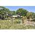 821 Texas Trl, Austin, TX - MLS 800146