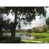 4831 Via Palm Lake # 1212, West Palm Beach, FL - MLS R3051401