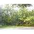 Rt 116, Medway, ME - MLS 950333