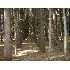 2118 Dalton, STARKS, ME - MLS 950447