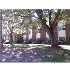 25 Willis St, Framingham, MA - MLS 70978889