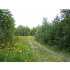 0 Old King Road, Springfield, ME - MLS 950836