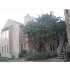 638 PINEWOOD DR, VBCH, VA - MLS 0941106