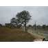 LOT 25 John Price, Blanco, TX - MLS 803719