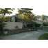 1119 Forest Hills Drive, Wilmington, NC - MLS 436496