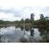 0 Pond and Wishbone Rds., Fitzgerald, GA - MLS 117656